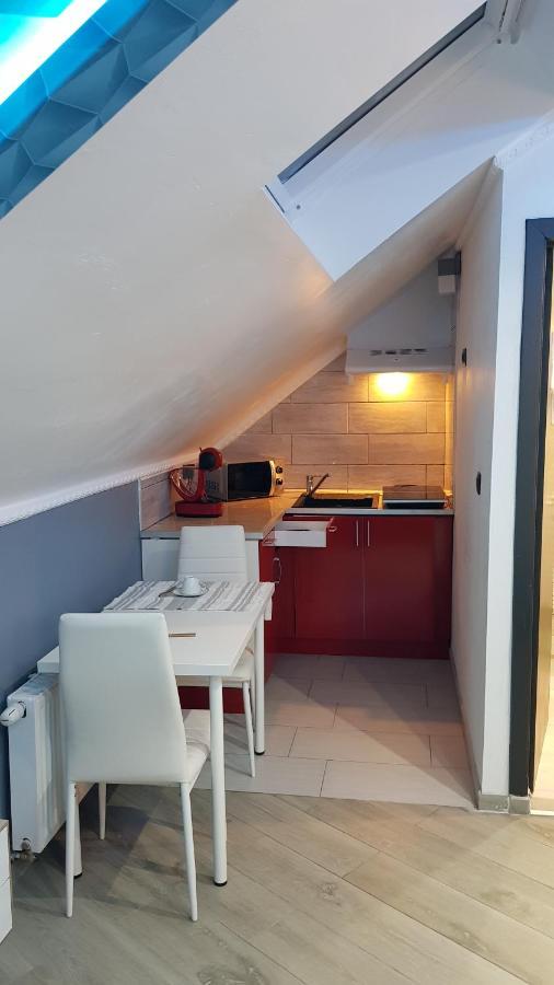 Le Petit Luxembourg Daire Montignies-sur-Sambre Dış mekan fotoğraf