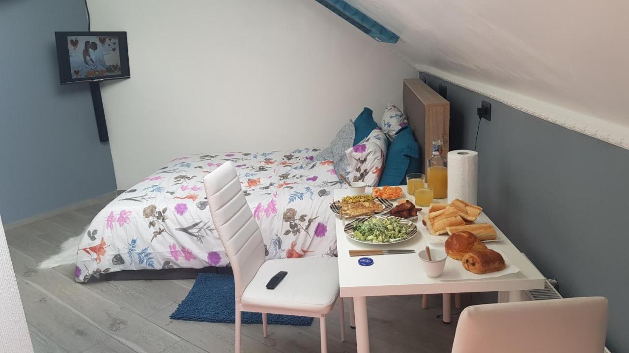 Le Petit Luxembourg Daire Montignies-sur-Sambre Dış mekan fotoğraf